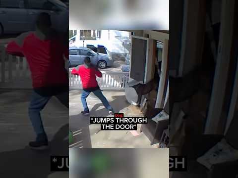 When a Delivery Driver Gets an Unexpected Surprise… thumbnail