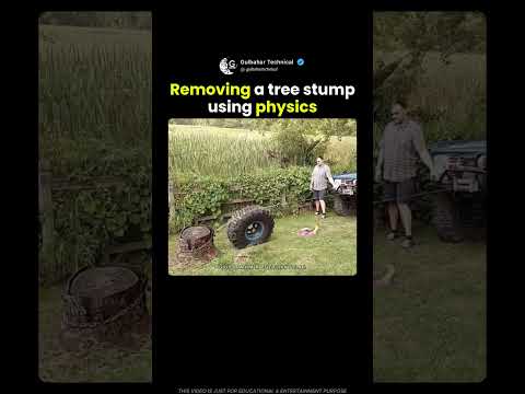 They Removed a Tree Stump Using Pure Physics! 😳🪵 thumbnail