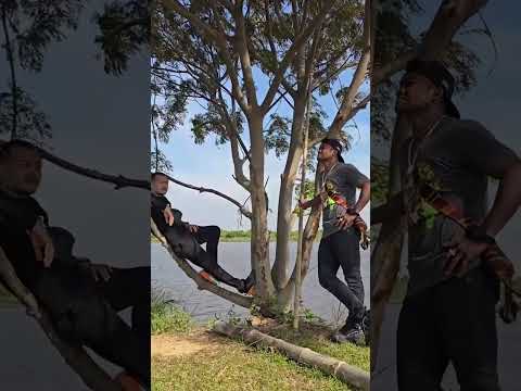 บรรยากาศมันได้🤣 #Shorts | Buakaw Banchamek thumbnail