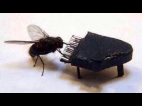 next song thumbnail