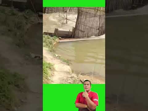 กับดักปลา thumbnail