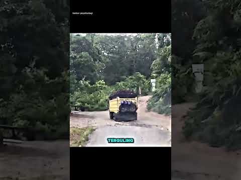 Detik-Detik Truk Sawit Nyaris Terguling di Jalan Rusak‼️ thumbnail