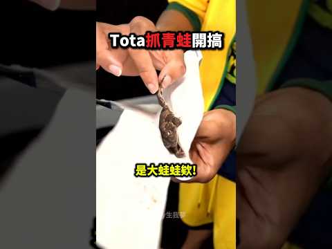 Tota抓青蛙嚇Ray❗️?? thumbnail