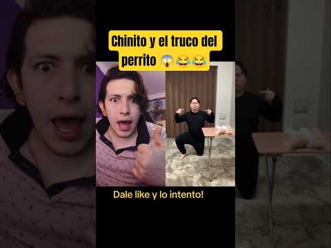 Chinito y el truco del perrito ?? - Hey Crispin #humor thumbnail