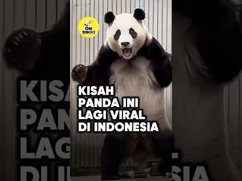 Setelah Lama Berpisah, Reaksi Fu Bao Bikin Haru ❤️ #shorts thumbnail