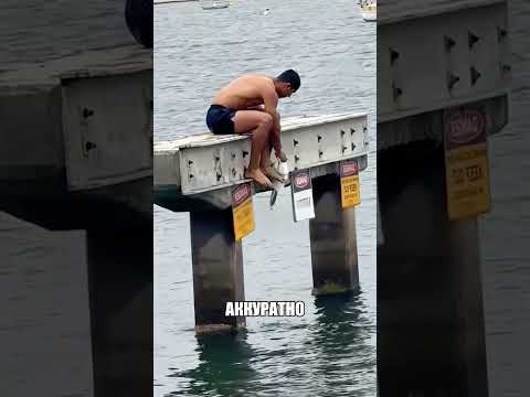 Мужик прыгнул в воду РАДИ ПТИЦЫ🕊🌊❤️ thumbnail