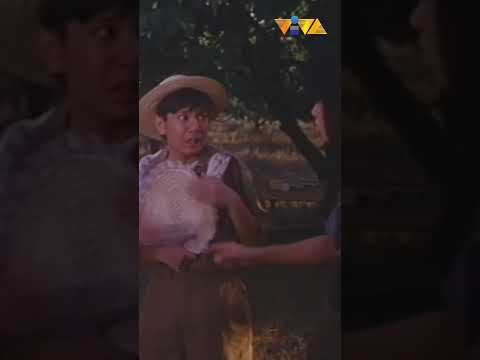 Ang modus operandi ni Raymart Santiago! #shorts #movieclips #vivafilms thumbnail