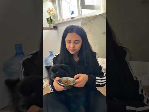 Sizde sahipli köpek buldunuz mu hiç #shortsvideo #youtubeshorts #ytshorts #trending thumbnail