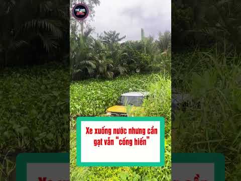 Xe xuống nước nhưng cần gạt vẫn “cống hiến” #shorts  #thegioi24h #tintuc24h thumbnail