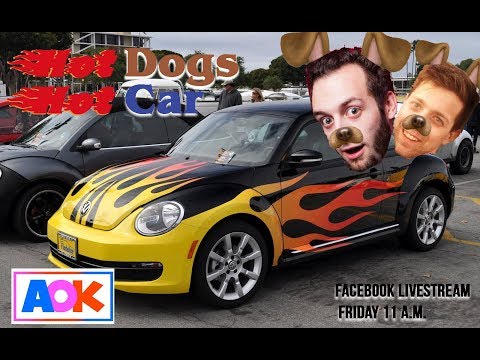 Hot Dogs in a Hot Car thumbnail