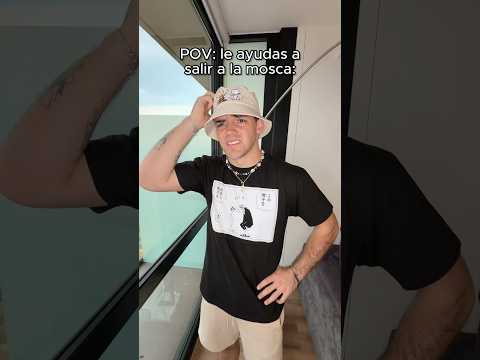Una mosca es más lista que yo?! 😳 thumbnail