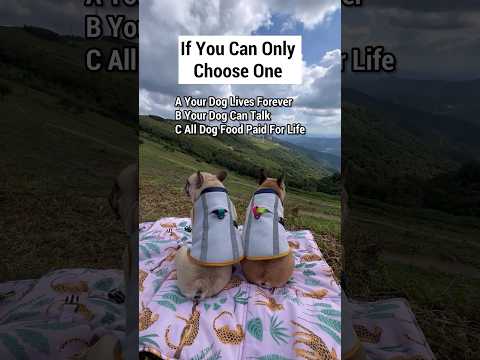 Which Would You Choose? 💕✨ thumbnail