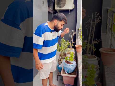 Gurav nai mummy nikita ko pagal banaya #gauravaroravlogs #youtubeshorts #shorts thumbnail
