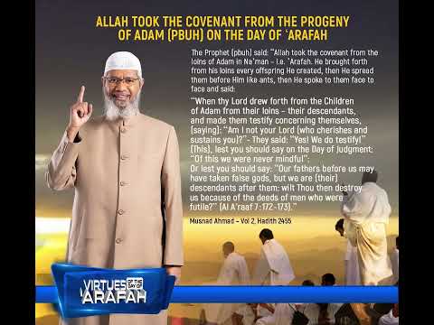Allah took the Covenant from the Progeny of Adam (pbuh) on the Day of 'Arafah thumbnail