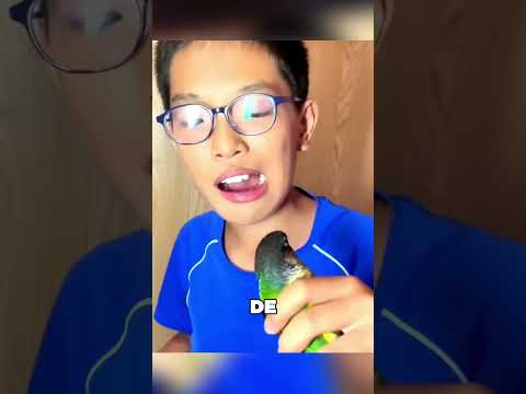 Este Loro Actúa Como Dentista Profesional 😯❤️ thumbnail