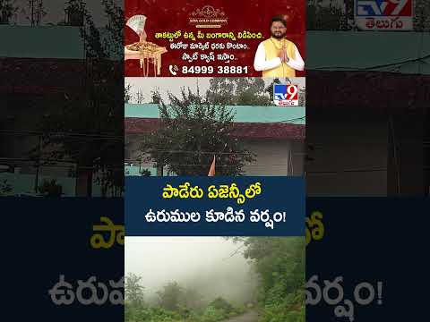 Paderu Agency Weather Update : పాడేరు ఏజెన్సీలో ఉరుముల కూడిన వర్షం! - TV9 thumbnail