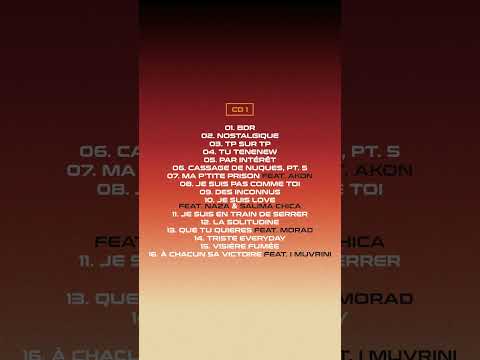 Tracklist du double album TP sur TP 👽 Rdv sur 5 décembre ✊ thumbnail