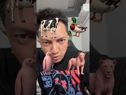 Kasih Bulu Untuk Hewan Hewan thumbnail