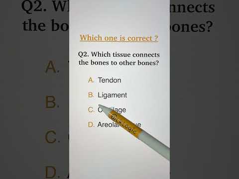 Which tissue connects bones to other bones? thumbnail