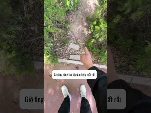 Tôi nhắc trước cho đấy nhé thumbnail