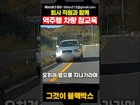 회사 직원과 함께 역주행 차량 참교육 thumbnail