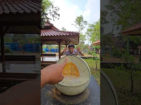 temon menghilang di buah melon #trendingshorts thumbnail