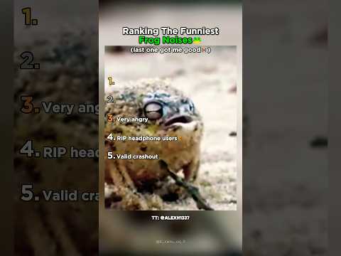 Ranking Frog Noises by How Ridiculous They Sound Part 2 #frogs #funny thumbnail