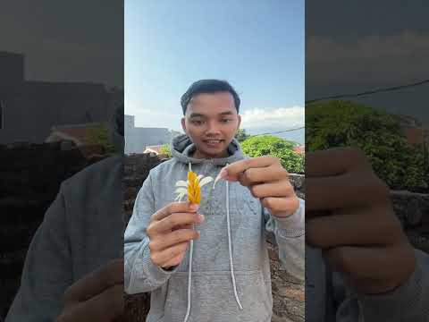 Kalau di kalian namanya apa? #shorts #fajarjroo thumbnail