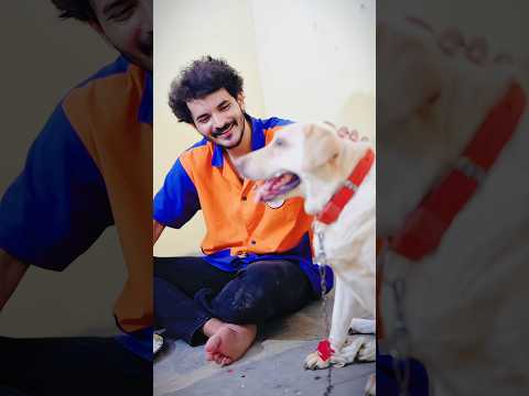 Cruelty to animals is cruelty to humanity,…🥺 #azmaik #reality #humanity #hearttouching #dog thumbnail