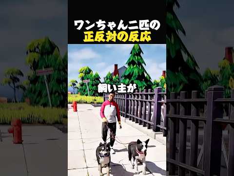 天才犬の散歩術,ボーダーコリー thumbnail