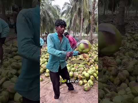 تحدي جوز الهند في أول يوم عمل 🥥💪🏼 thumbnail