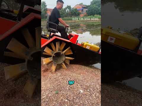 Anh nông dân có chiếc thuyền bừa ruộng chạy băng băng trên bùn thumbnail