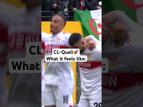 Der VfB Stuttgart sicher sich Platz 4 und spielt nächste Saison in der Champions League? thumbnail