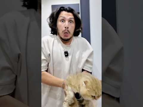 Bunu hiç beklemiyordum 😂 thumbnail
