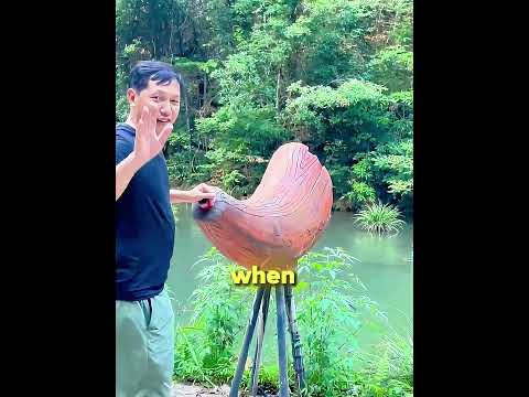 The Sacred Horn Only Answers the Pure thumbnail
