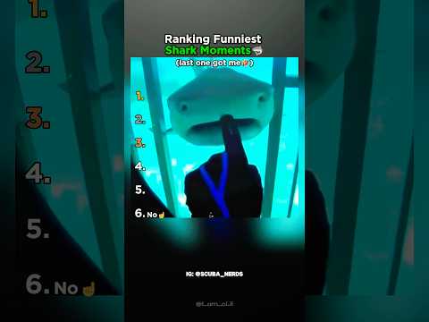 Ranking The Funniest Shark Moments thumbnail
