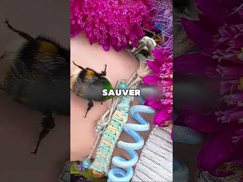 Cet homme a trouvé des abeilles dans sa voiture 🤯 thumbnail