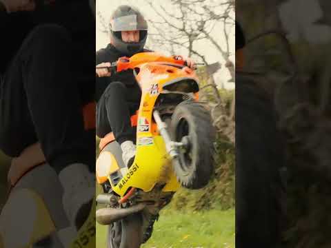 MALOSSI SCOOTER thumbnail