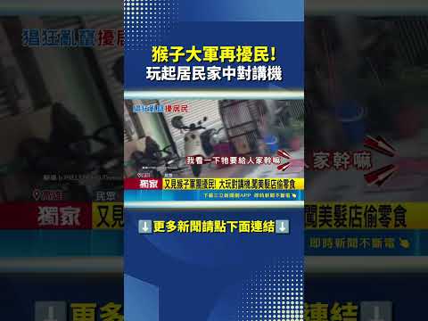超囂張"猴子軍團"出沒! 闖美髮店.搶零食.玩對講機!?｜三立新聞網 SETN.com thumbnail