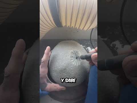 Encontró una PIEDRA en la PLAYA que TENÍA algo INCREIBLE DENTRO escondido thumbnail