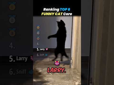 Ranking TOP 6 FUNNY CAT Core Moments!! 🐱😂 thumbnail