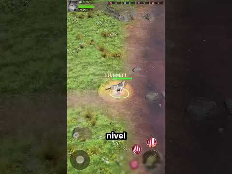 Este Lagarto Acabó Con La Vida De Mi Mamá 😱😭 thumbnail