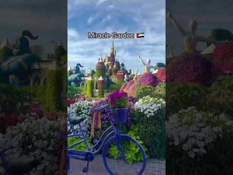 Most Beautiful Places in UAE ?? | #shorts #travel #explore #nature #viral #adventures thumbnail