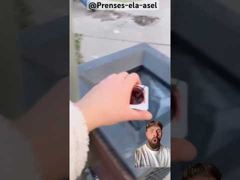 No comer choco Prenses-ela-asel thumbnail