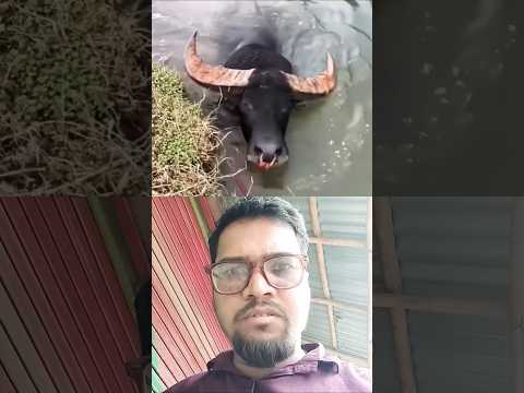 Surah Naas🕋🤲 #quran #tilawat ##viralshorts #Ahmad reaction 🤲🇮🇳🌹 #YouTube thumbnail