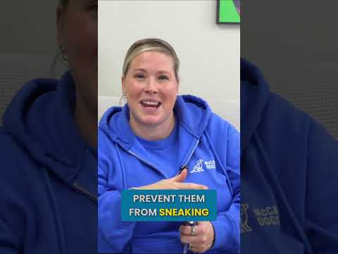 Do THIS Before Bringing Your New Puppy Home! thumbnail