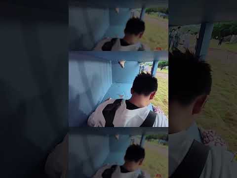 白鹿钻格子丝滑过关 #奔跑吧14 thumbnail