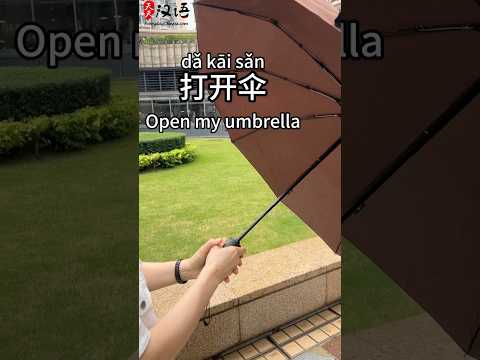 打开伞: Open my umbrella | 关上伞: Close my umbrella | Phrase of the Day | #learnchinese thumbnail