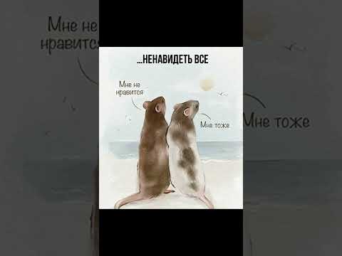 Мем про крысу thumbnail