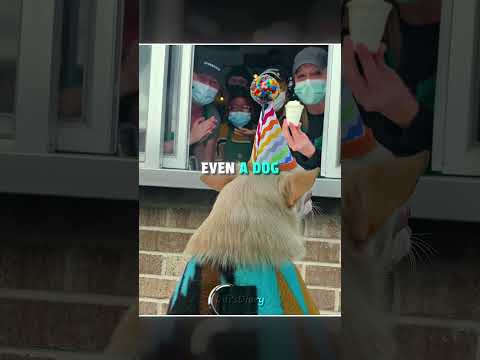 Cutest Drive-Thru Customers Ever ??? #shorts thumbnail